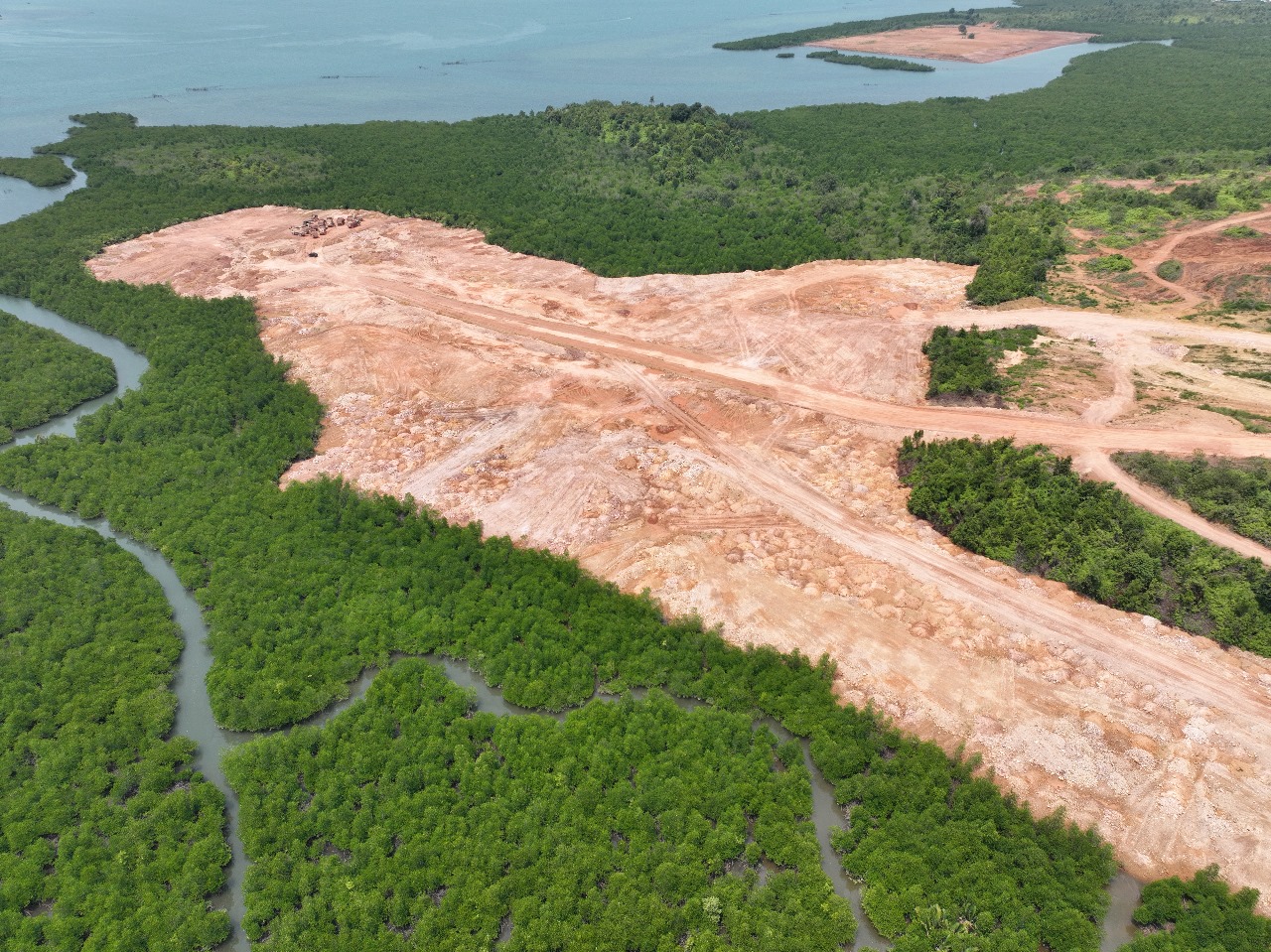 Dukung Jurnalisme Hijau, AJI Batam dan Akar Bhumi Tawarkan Fellowship Liputan Mangrove