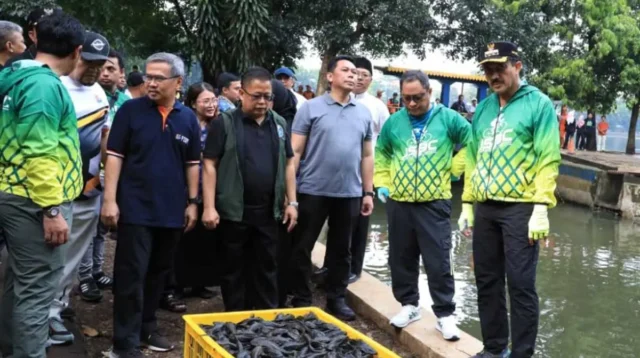 6,98 Ton Ikan Sapu-sapu Dimusnahkan di Jakarta, Ternyata Ini Alasannya