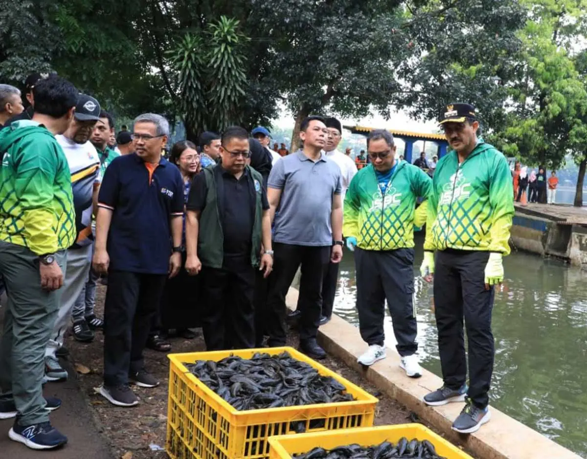 6,98 Ton Ikan Sapu-sapu Dimusnahkan di Jakarta, Ternyata Ini Alasannya